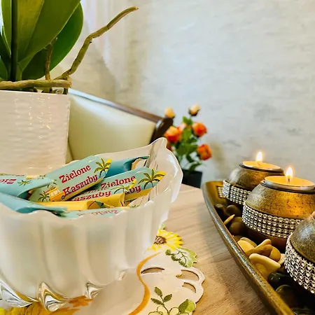 Zielone Kaszuby - Z Jacuzzi شقة