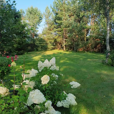 Piekny Zielony Zakatek Na Kaszubach - Agroturystyka Z Jacuzzi Daire Strzepcz