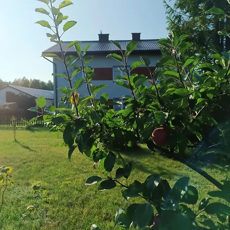 Piekny Zielony Zakatek Na Kaszubach - Agroturystyka Z Jacuzzi Daire *