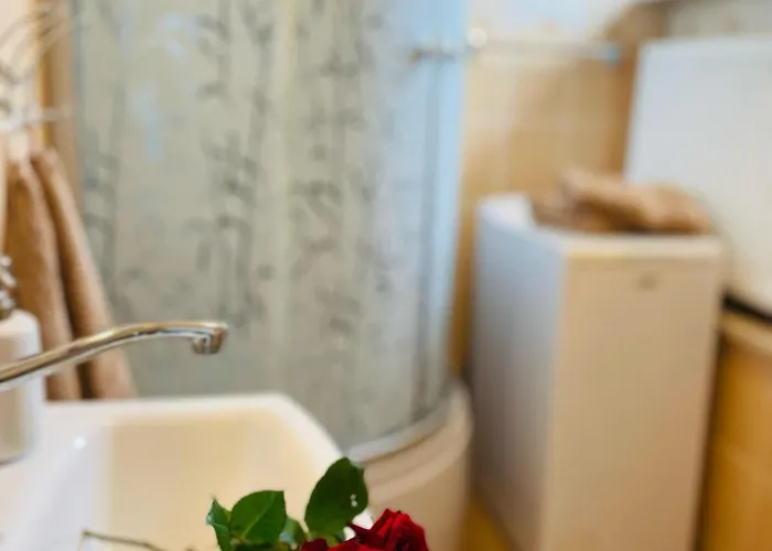 Zielone Kaszuby - Z Jacuzzi Strzepcz