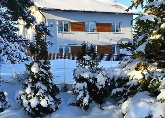 Lejlighed Zielone Kaszuby - Z Jacuzzi