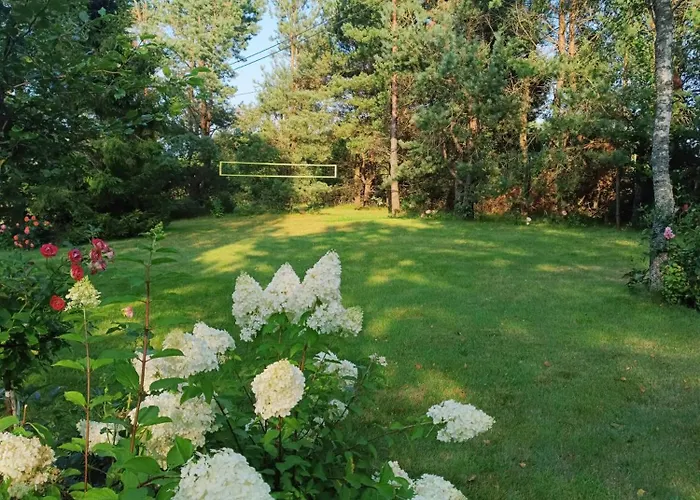 Zielone Kaszuby - Z Jacuzzi 公寓 Strzepcz