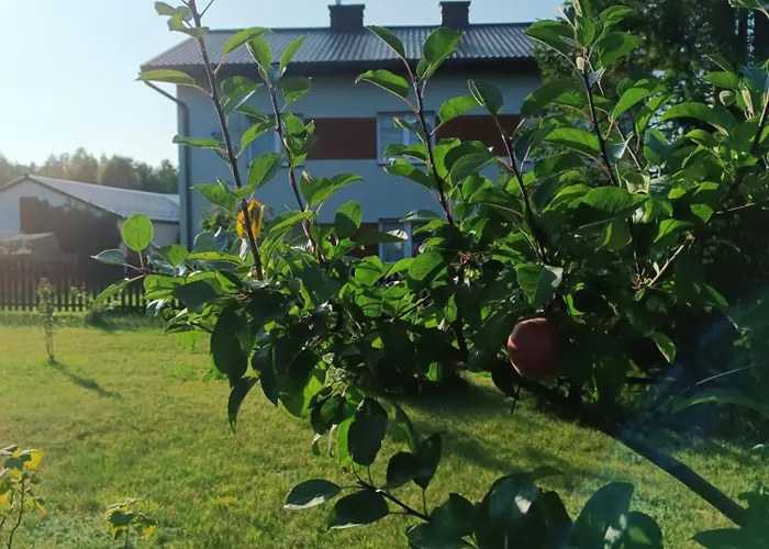 Zielone Kaszuby - Z Jacuzzi Lejlighed *